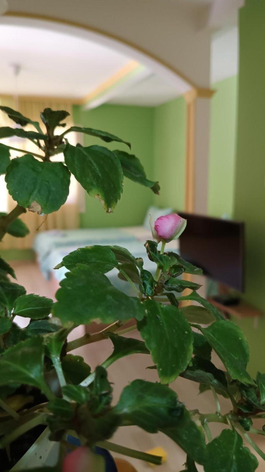 Villa Re3Ca Skopje Bagian luar foto