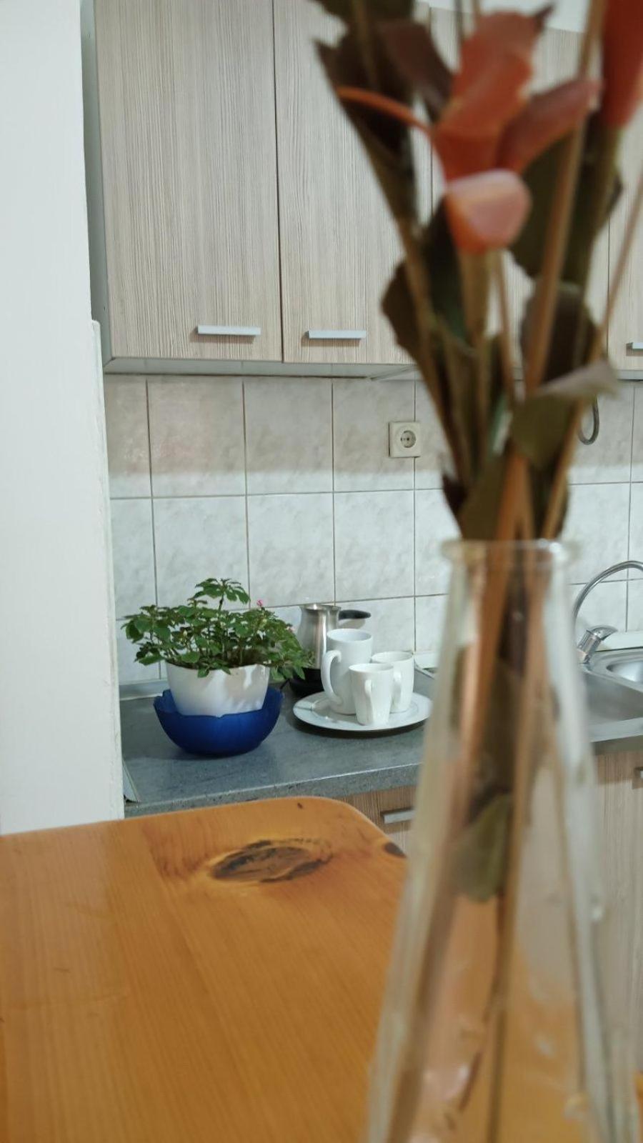 Villa Re3Ca Skopje Bagian luar foto